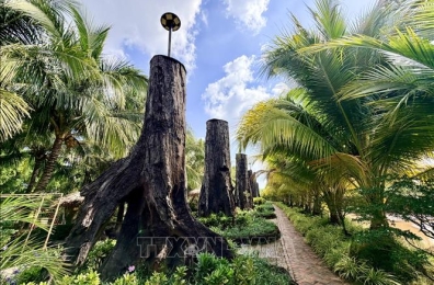 'Bảo tàng' gỗ lũa giữa dòng sông Tiền